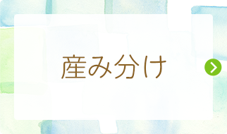 産み分け